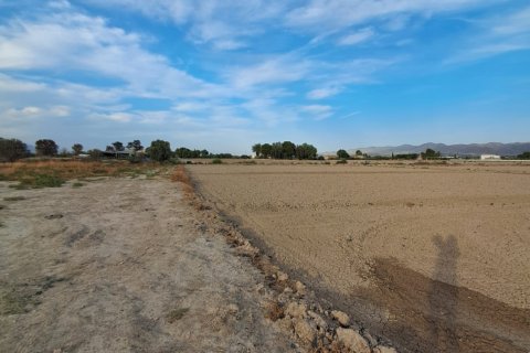 Land zum Verkauf in Lorca, Murcia, Spanien 5470 m2 Nr. 196594 - Foto 6