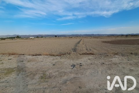 Land zum Verkauf in Lorca, Murcia, Spanien 5470 m2 Nr. 196594 - Foto 11