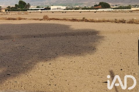 Land zum Verkauf in Lorca, Murcia, Spanien 5470 m2 Nr. 196594 - Foto 27