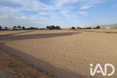Land zum Verkauf in Lorca, Murcia, Spanien 5470 m2 Nr. 196594 - Foto 16