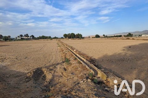 Land zum Verkauf in Lorca, Murcia, Spanien 5470 m2 Nr. 196594 - Foto 5