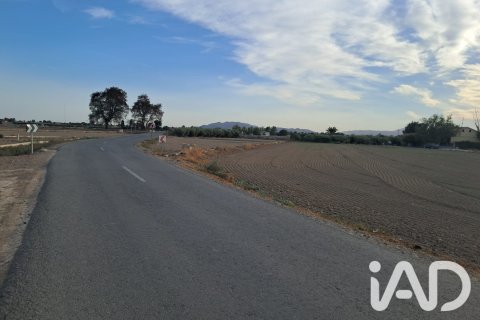 Land in Lorca, Murcia, Spanien 5470 m2 Nr. 196594