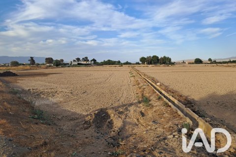Land zum Verkauf in Lorca, Murcia, Spanien 5470 m2 Nr. 196594 - Foto 8