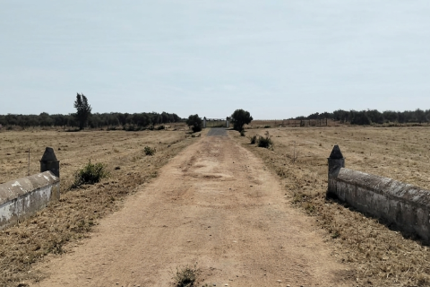 Terreno a Dos Hermanas, Seville, Spagna 26606 mq. N° 188331