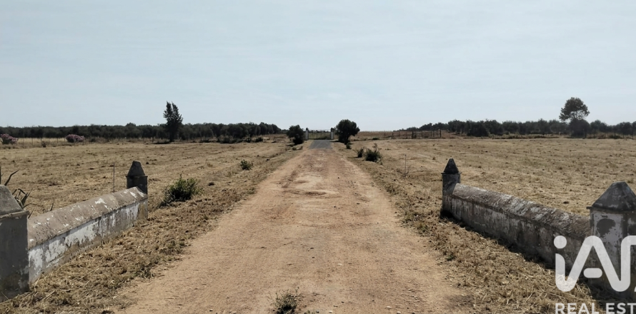 Terreno a Dos Hermanas, Seville, Spagna 26606 mq. N° 188331