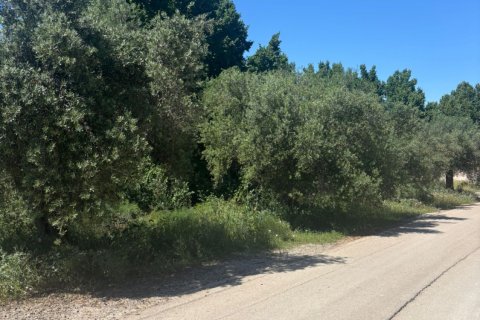 Сasa en venta en Calasparra, Murcia, España 150 m2 No. 188330 - foto 11