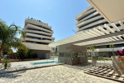 Apartament w Alicante, Hiszpania 1 sypialnia, 100 mkw. nr 146511 – zdjęcie 19