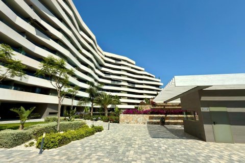 Apartament w Alicante, Hiszpania 1 sypialnia, 100 mkw. nr 146511 – zdjęcie 23