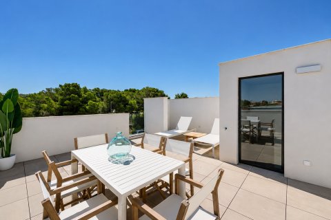 Villa à vendre à Puig De Ros, Mallorca, Espagne, 4 chambres, 174 m2 No. 180924 - photo 21