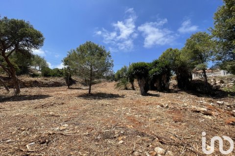 Продажа земельного участка в Коста-Нова, Аликанте, Испания 1744м2 №153846 - фото 12