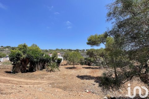 Продажа земельного участка в Коста-Нова, Аликанте, Испания 1744м2 №153846 - фото 8