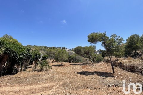 Продажа земельного участка в Коста-Нова, Аликанте, Испания 1744м2 №153846 - фото 7