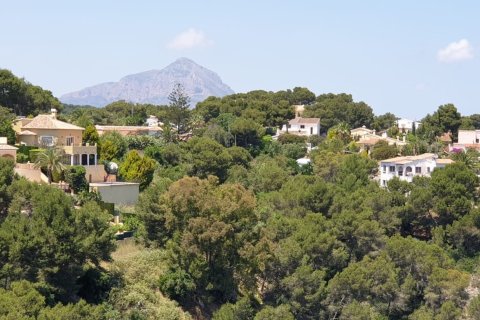 Продажа земельного участка в Коста-Нова, Аликанте, Испания 1744м2 №153846 - фото 11