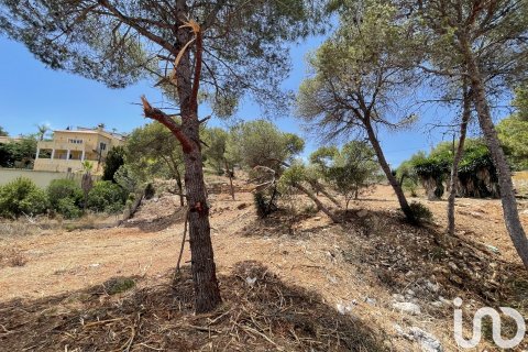 Продажа земельного участка в Коста-Нова, Аликанте, Испания 1744м2 №153846 - фото 10