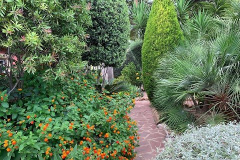 Apartament Galera de las Palmeras, Alicante, Hiszpania 3 sypialnie, 412 mkw. nr 116916 – zdjęcie 14