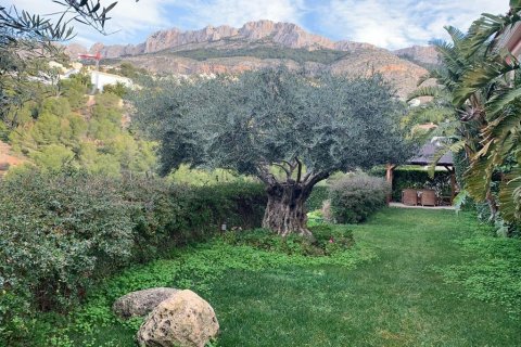 Apartament Galera de las Palmeras, Alicante, Hiszpania 3 sypialnie, 412 mkw. nr 116916 – zdjęcie 5