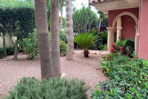Apartament Galera de las Palmeras, Alicante, Hiszpania 3 sypialnie, 412 mkw. nr 116916 – zdjęcie 13