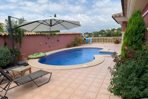Apartament Galera de las Palmeras, Alicante, Hiszpania 3 sypialnie, 412 mkw. nr 116916 – zdjęcie 12