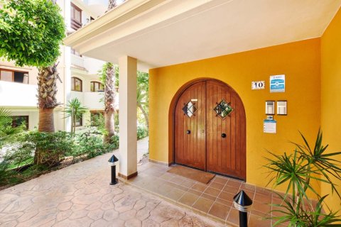 Apartamento en venta en Punta Prima, Alicante, España 1 dormitorio,  No. 145422 - foto 26