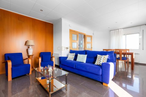 House in Llica De Vall, Barcelona, Spanien 5 Schlafzimmer, 266 m2 Nr. 166887