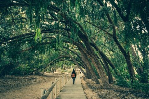 Lägenhet till salu i Los Montesinos, Alicante, Spanien 3 sovrum, 116 kvm. Nr. 143730 - foto 8