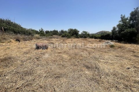 House zum Verkauf in Almanzora, Almeria, Spanien 4 Schlafzimmer, 220 m2 Nr. 184028 - Foto 22