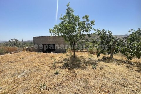 House zum Verkauf in Almanzora, Almeria, Spanien 4 Schlafzimmer, 220 m2 Nr. 184028 - Foto 20