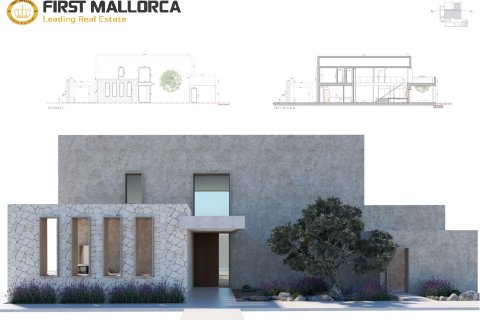 Продажа земельного участка в Сантаньи, Майорка, Испания 22000м2 №154701 - фото 9