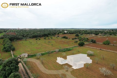 Продажа земельного участка в Сантаньи, Майорка, Испания 22000м2 №154701 - фото 7