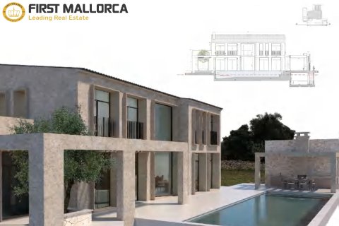 Продажа земельного участка в Сантаньи, Майорка, Испания 22000м2 №154701 - фото 13