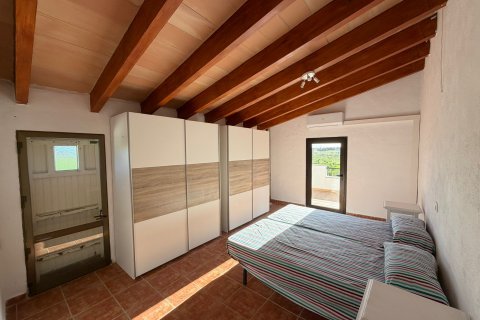 Finca en alquiler en Muro, Mallorca, España 3 dormitorios, 104 m2 No. 154706 - foto 7