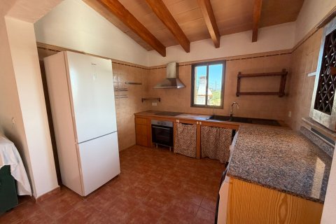 Finca en alquiler en Muro, Mallorca, España 3 dormitorios, 104 m2 No. 154706 - foto 5