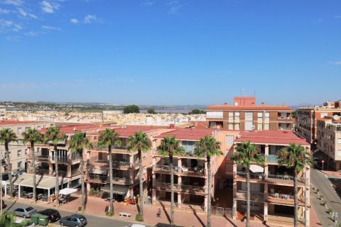 Huoneisto myytävänä Torrevieja, Alicante, Espanja, 3 makuuhuonetta, 108 m2 No. 145986 - kuva 27