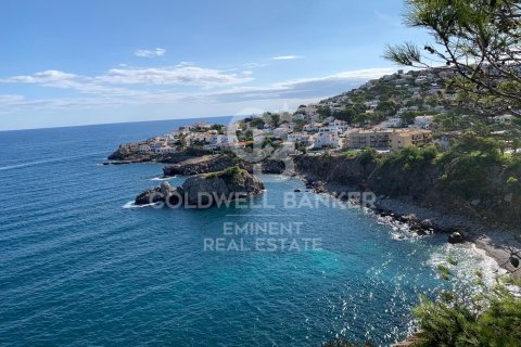 Cafe / restaurant zum Verkauf in L'Escala, Girona, Spanien 243 m2 Nr. 160087 - Foto 12