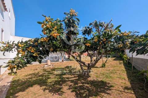 Villa à vendre à Roses, Girona, Espagne, 3 chambres, 282 m2 No. 178768 - photo 4