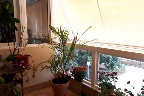 Apartment for sale in Alicante, Spain 3 bedrooms, 122 sq.m. No. 167275 - photo 12