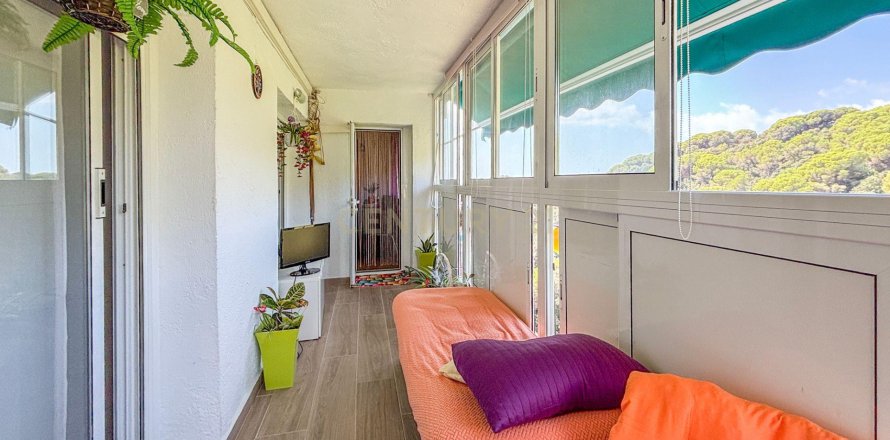 Apartamento en Calella, Barcelona, España 2 dormitorios, 86 m2 No. 194548