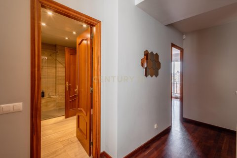 Apartamento en venta en L'Hospitalet de Llobregat, Barcelona, España 3 dormitorios, 185 m2 No. 194547 - foto 24