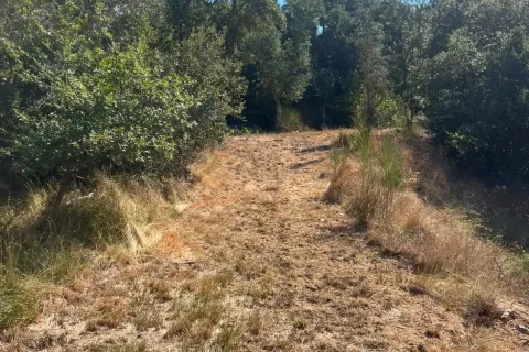 Terreno in vendita a Sant Celoni, Barcelona, Spagna 1 camera da letto, N° 194542 - foto 5