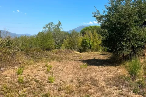 Terreno in vendita a Sant Celoni, Barcelona, Spagna 1 camera da letto, N° 194542 - foto 6