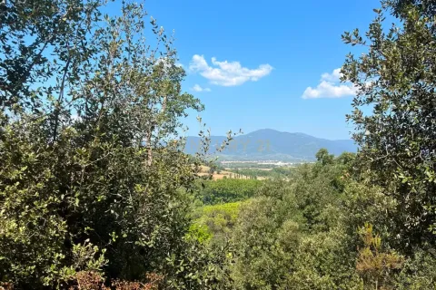 Terreno in vendita a Sant Celoni, Barcelona, Spagna 1 camera da letto, N° 194542 - foto 3
