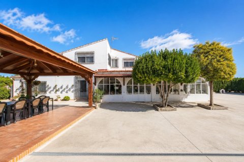 Villa in Villena, Alicante, Spain 7 bedrooms, 490 sq.m. No. 190402