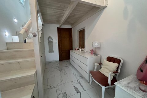 Villa pārdošanā Dolores, Alicante, Spānijā 3 istabas, 179 m2 Nr. 149550 - attēls 19