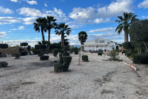 Villa pārdošanā Dolores, Alicante, Spānijā 3 istabas, 179 m2 Nr. 149550 - attēls 24