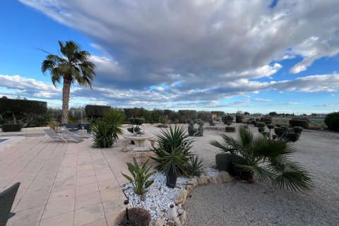 Villa pārdošanā Dolores, Alicante, Spānijā 3 istabas, 179 m2 Nr. 149550 - attēls 23
