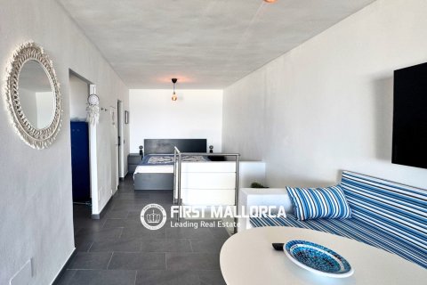 Wohnung zum Verkauf in Andratx, Mallorca, Spanien 1 Schlafzimmer, 74 m2 Nr. 168650 - Foto 13