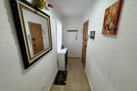 Apartment for rent in Alicante, Spain 2 bedrooms, 80 sq.m. No. 146283 - photo 17