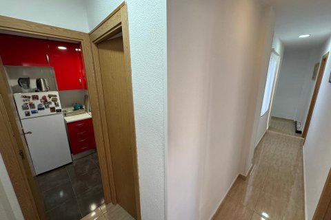 Apartment for rent in Alicante, Spain 2 bedrooms, 80 sq.m. No. 146283 - photo 15
