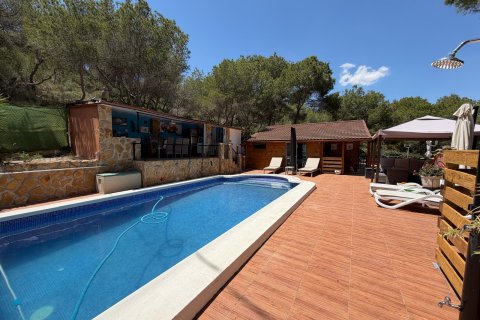 Finca pārdošanā Orihuela, Alicante, Spānijā 2 istabas, 100 m2 Nr. 189521 - attēls 23