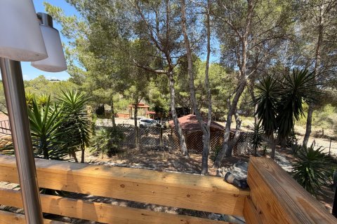 Finca pārdošanā Orihuela, Alicante, Spānijā 2 istabas, 100 m2 Nr. 189521 - attēls 21